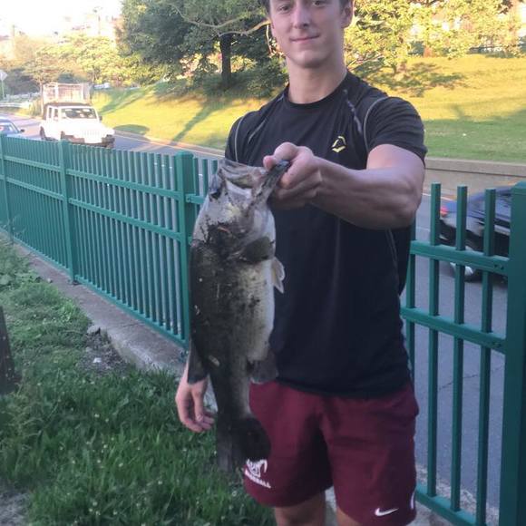 austin_stanton